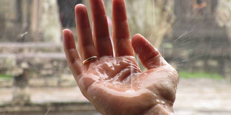 How to take advantage of rain and dew to save water